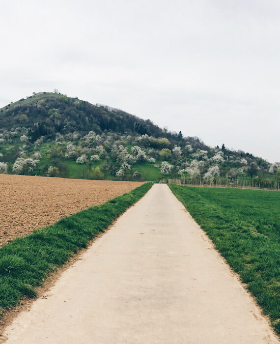 Die Limburg – Ein Schwäbischer Vulkan