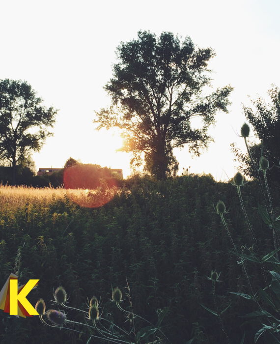 21. Mai 2022 - Sommersonnenwende