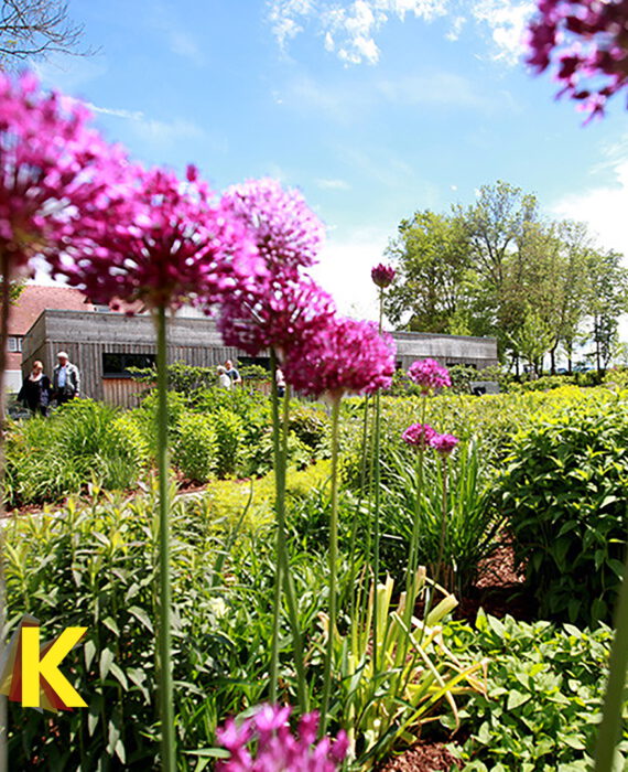 Gartenführung: Blütenträume und Kräuterkram am 10.06.2022