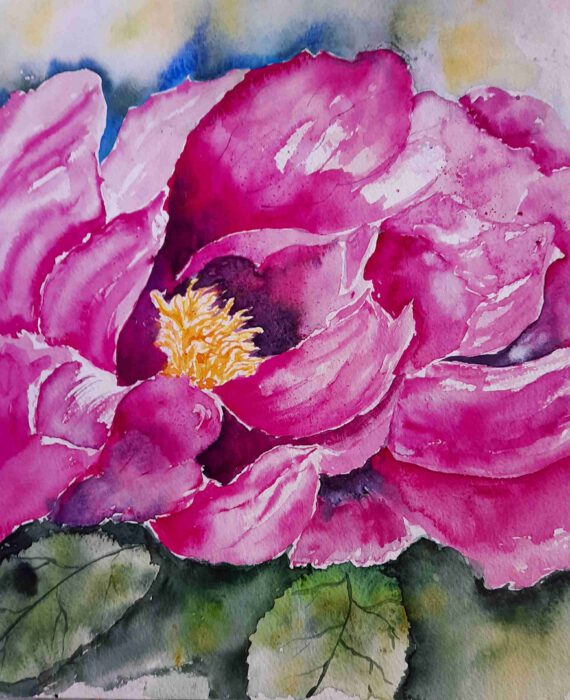 Aquarell „Pfingstrose“ von Andrea Eisenhut