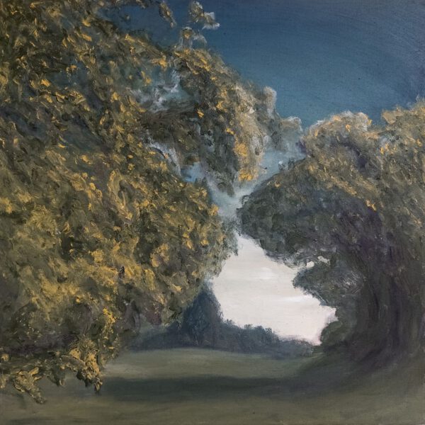 Bewerbung Nr. 2022-128 Wettbewerbsarbeit: "Waldstück im Abendlicht" von Paul Scharpfenecker