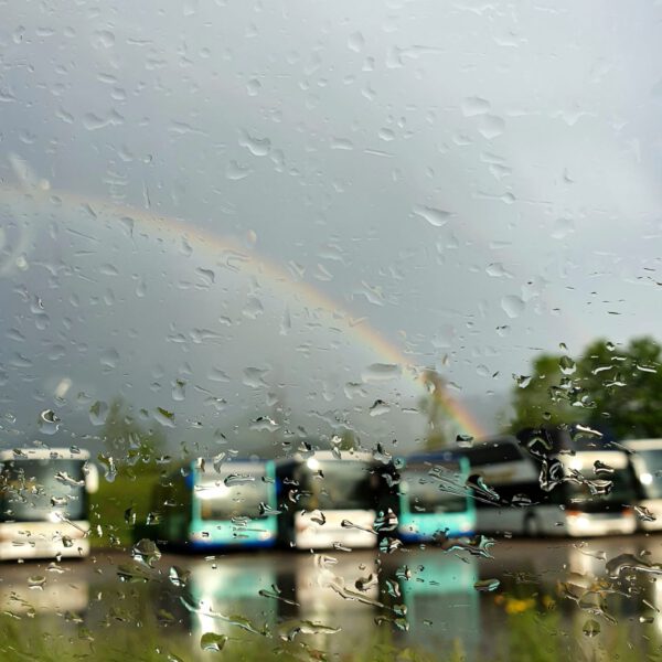 Bewerbung Nr. 2022-169 Wettbewerbsarbeit: "Nach dem Regen" von Raphaela Schütz