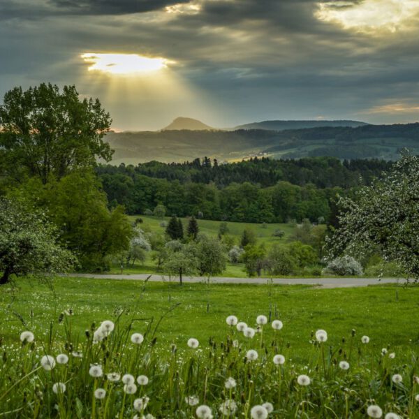 Bewerbung Nr. 2022-96 Wettbewerbsarbeit: "Morgenstimmung am Hohenstaufen" von Berthold Hänssler