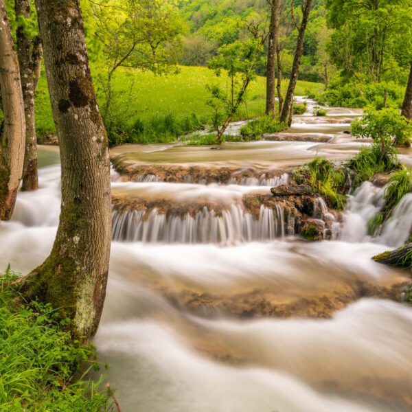 Bewerbung Nr. 2022-111 Wettbewerbsarbeit: "All we need" von Uli Bruederlin