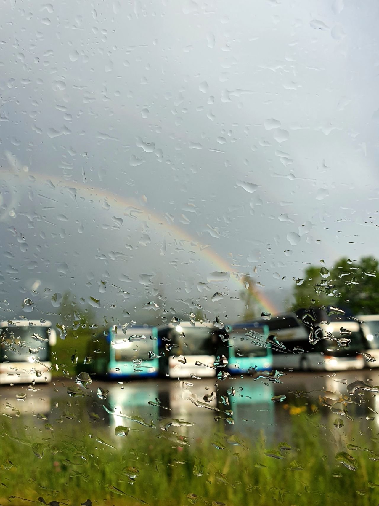 Förderpreis 2022 - "Nach dem Regen" von Raphaela Schütz